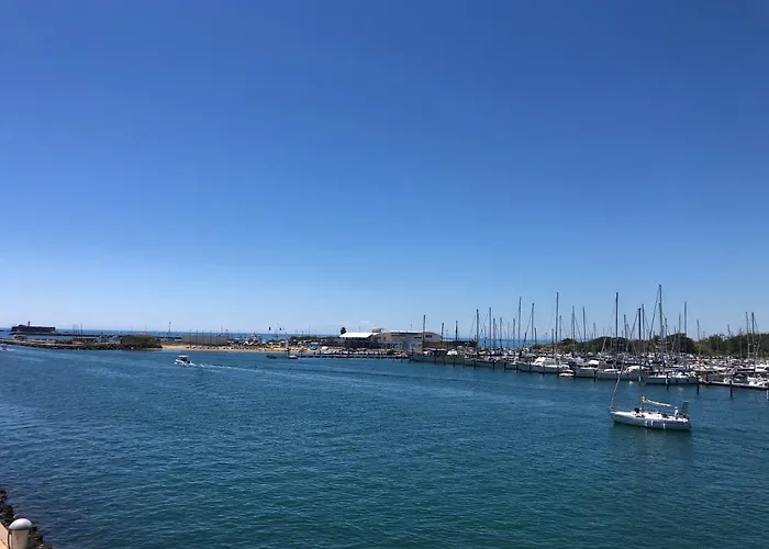 Hôtel accueillant les animaux: Appartement - Ile des pecheurs