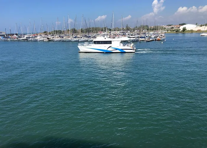 Hôtel accueillant les animaux: Appartement - Ile des pecheurs